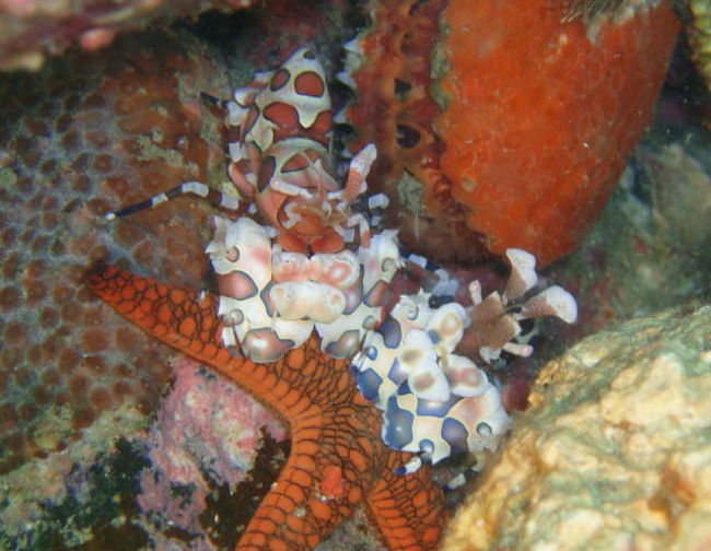 串本Marine Stageを初利用ダイビング