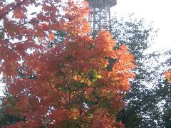 紅葉にはまだ早かった大通公園