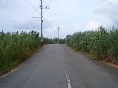 ☆沖縄本島＆日帰り離島の旅、前半編　☆