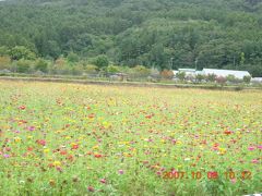子連れ旅行　三日目