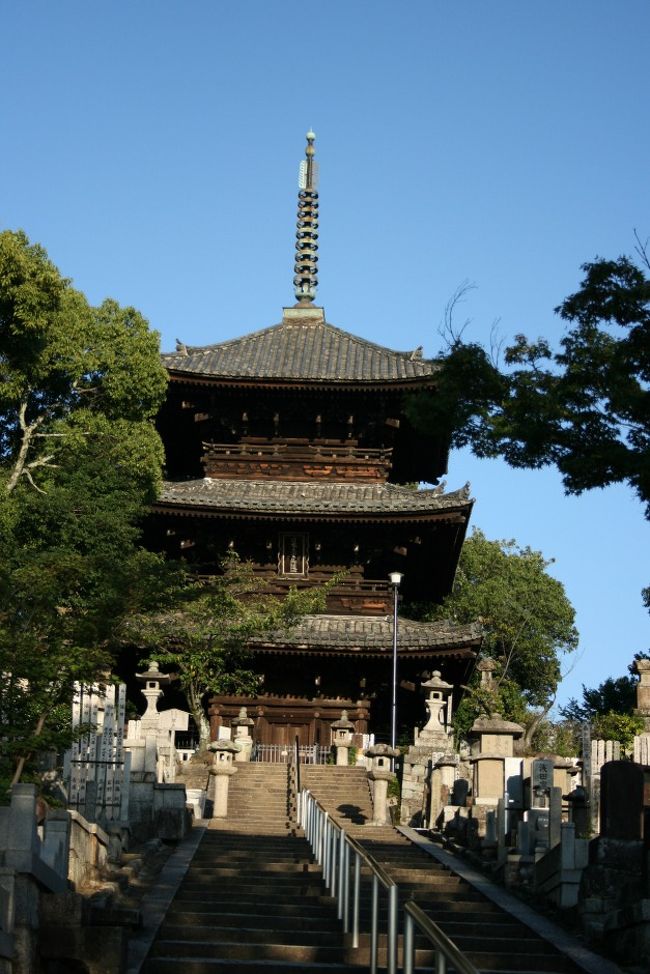 10月の三連休、お天気に恵まれました。<br /><br />南禅寺から真如堂、金戒光明寺の文殊堂の京の街を一望できる<br />落ち着ける場所をみつけました。