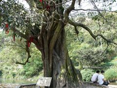 重慶の遥か北にある偏岩古鎮（１）