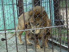 東武動物公園