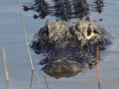 エヴァ・クレーズ国立公園