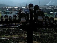 鈍行列車の旅を終えて（続き）