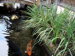 ひとり旅 [155] 山口島根ぶらり旅?「津和野?・街並み」島根県津和野町