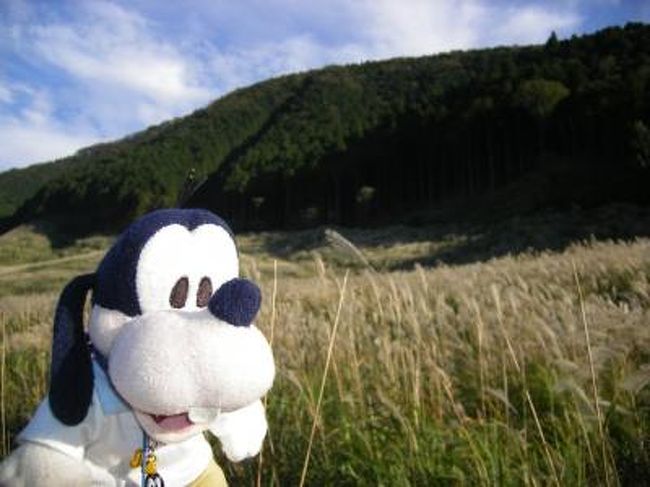 グーちゃんだよ。<br />なべなべ達の恒例の箱根合宿に<br />グーちゃんも参加したの!<br />何故ならグーちゃんは<br />名誉会長に任命されたからなの(^_^)v