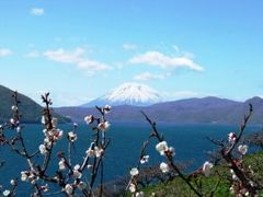 33-最高のロケーション、「羊蹄山・洞爺湖・梅・桜」