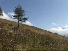 【動画あり】　初秋　霧ヶ峰　富士見台の散策