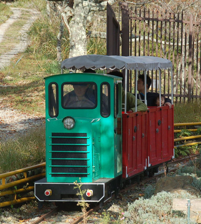 後編は、シグナス森林鉄道と妙見リフトに乗車し、そして、再び妙見ケーブルに乗って麓まで降りました。<br /><br />シグナス森林鉄道は、とにかく最高でした。森林浴をしながら、大人で童心に返ることのできるかわいいトロッコ列車であります。