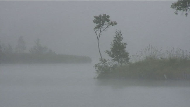 白樺湖（しらかばこ）は、高原にたたずむ比較的小さな人口湖です。湖畔にはホテルや旅館が並び、ビーナスラインの始点に近く霧ヶ峰に行く際の拠点となります。<br /><br />湖畔は早朝から濃霧に包まれていましたが、少しずつ霧が晴れ太陽の光も差し始めました。<br /><br />この旅行記の動画を「癒しの国 日本.TV」さんに提供していますので、ご興味のある方は以下のURLの動画もご覧くださいね。<br /><br />http://www.healing-japan.tv/spot-215.html