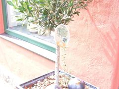 北欧７泊９日の旅?～リーベ編～