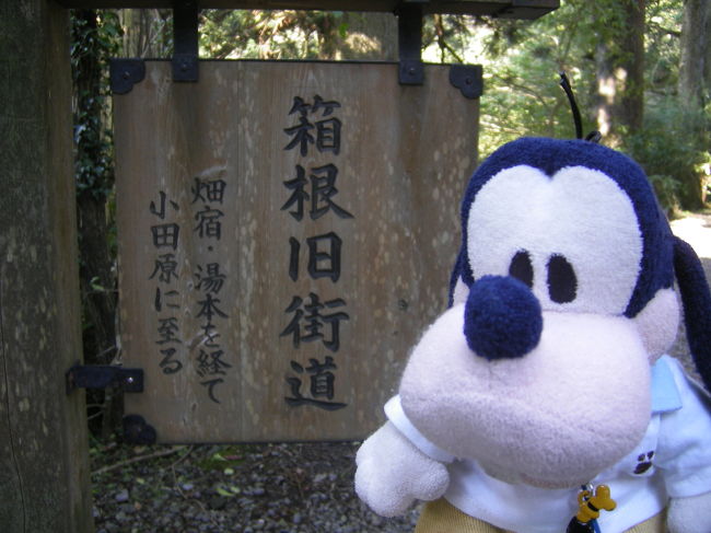 グーちゃんだよ。<br />この合宿は「お酒」ばかりではないの!<br />今回は元箱根から旧街道を歩いて<br />湯本を目指す事にしたの(@_@。