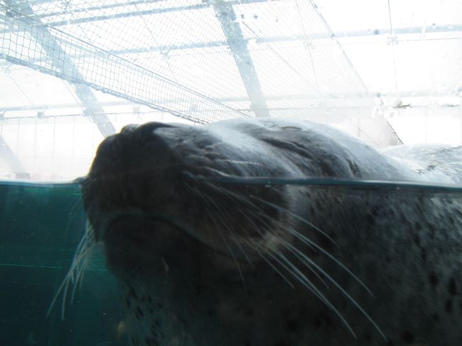 自称水族館マニアなワタシ。<br />一度は訪れてみたかった『アクアマリンふくしま』に行って来ました。<br />ちなみに、隠れタワーマニアな夫婦だったりします。<br />そして今回もやっぱり日帰り旅行です（笑）