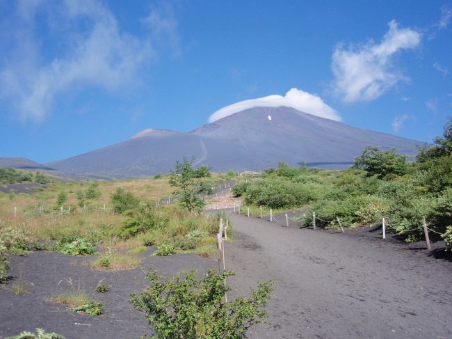 富士五湖を中心とした　夏休み家族旅行。<br />宿泊は、箱根塔之澤と山中湖。