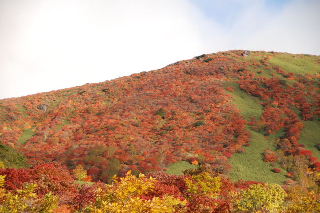 早起きして、栃木へ<br /><br />ここ2年は関東に住んでいるが、初めての栃木県<br />山が燃えるような紅葉を見れてすばらしかった。<br /><br />次回は時間と十分な準備をして朝日岳まで行ってみたい。<br /><br />ただ、事前に調べたとおり混雑はすごかったです、朝の７時に着いたがすでに駐車場は７割埋まってました。<br />１０時頃降りましたが、インターまで渋滞が続いてました。<br /><br />～作成中