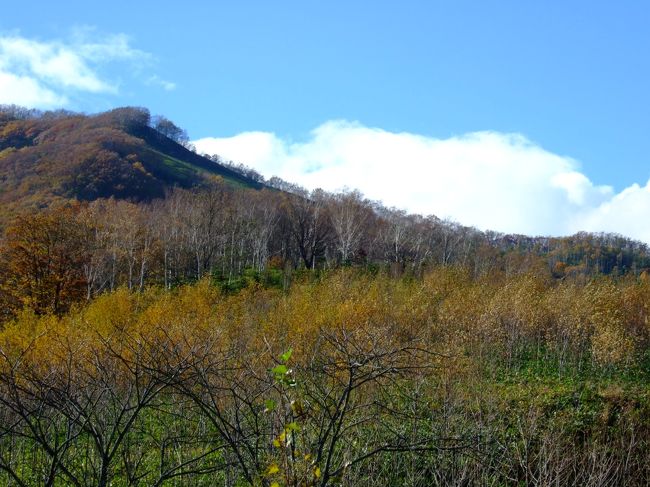 秋の北海道 帯広編 帯広 北海道 の旅行記 ブログ By 妻さん フォートラベル