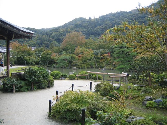 何十年ぶりに嵐山の観光に出かけました。<br />少し紅葉にはまだ早いのですが観光気分を久しぶりに味わいました。やっぱり京都はいいですね