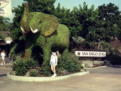 93年サンディエゴ①サンディエゴ動物園