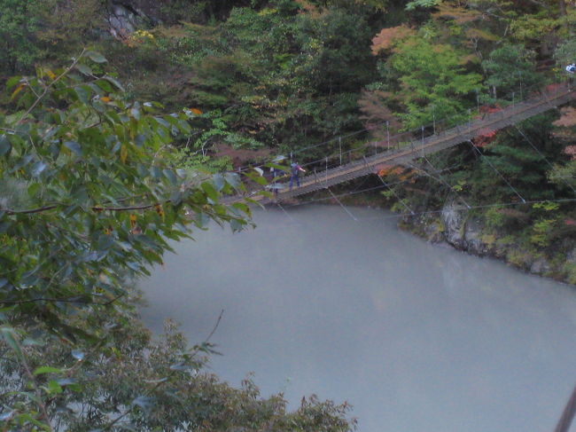 2年振りの大井川鉄道ＳＬの旅でした。<br />2006年るるぶ静岡でＳＬの車内で楽しい家族という感じの写真が掲載された以来の大井川やはりいいところですよ。<br />あいにく、10月27日は台風の影響で雨・・・最悪でしたが28日は最高の天気でしたね！<br />もう、寸又峡は、紅葉が始まっていましたよ。<br />温泉は、やはり「美女づくりの湯」の名の通りスベスベになります。是非、「ＳＬと美女づくりの湯」体験した事ない人は、体験してみて下さい。