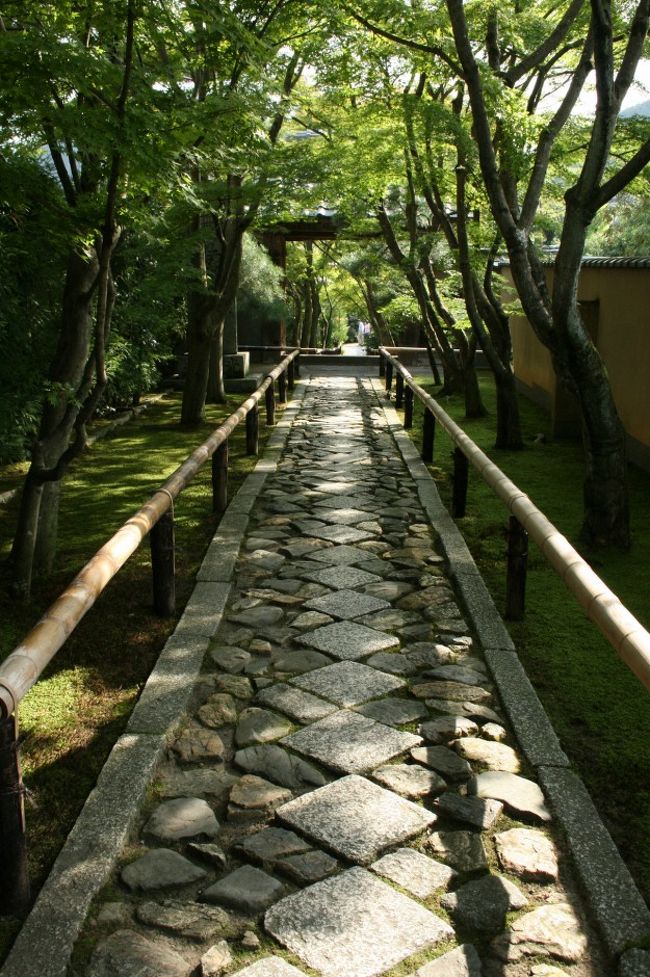 北大路バスターミナルから、バスで鷹ヶ峰の光悦寺・源光庵・常照寺を巡り、再びバスで南下し二条下車し神泉苑へ。<br />日没後、四条界隈を歩きました。