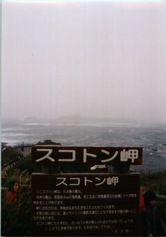 北の島のダイジェスト～礼文・利尻～