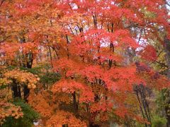 光徳牧場～中禅寺湖周辺