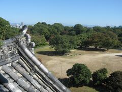 2007秋、名古屋城と菊花展(2/5)：天守閣からの眺望、加藤清正公の石引き像、隅櫓