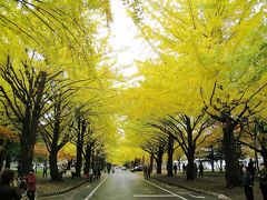 紅葉の札幌