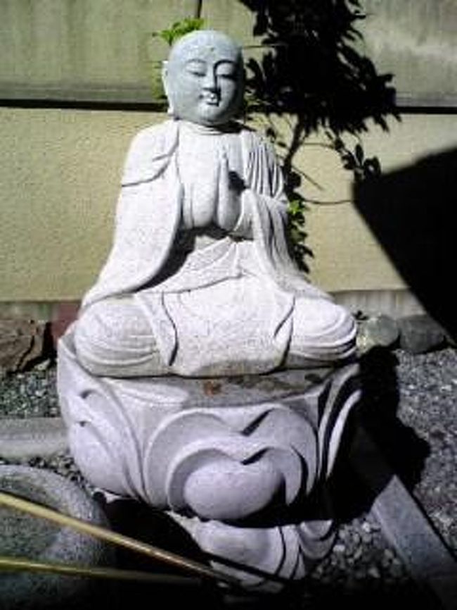 月に一回酒井大阿闍梨が埼玉にやってこられます。一度そのご尊顔を拝したいと考えておりましたので、今回、講話をお聞きすることができてよかったです。<<酒井氏の千日回峰行>>1973年、千日回峰行を開始。「千日回峰行」は不動明王と一体となることを目指す行で、十二年籠山行を終え、百日回峰行を終えた者の中から、さらに選ばれたものだけに許される行である。行者は途中で行を続けられなくなったときは自害する決まりで、そのために首をつるための紐と短刀を常時携行する。頭にはまだ開いていない蓮の華をかたどったヒノキの笠をかぶり、白装束(死に装束)をまとい、草鞋ばきといういでたちである。回峰行は七年間にわたる行である。無動寺谷で勤行のあと、深夜二時に出発。真言を唱えながら東塔、西塔、横川、日吉大社と二百六十箇所で礼拝しながら、約30キロを平均6時間で巡拝する。700日目の回峰を終えた日から「堂入り」が行なわれる。無動寺谷明王堂で足かけ九日間(丸7日半ほど)にわたる断食断水断眠の行に入る。入堂前に行者は生き葬式を行ない、不動明王の真言を唱え続ける。出堂すると、行者は生身の不動明王ともいわれる大阿闍梨(だいあじゃり)となり、信者達の合掌で迎えられる。これを機に行者は自分のための自利行(じりぎょう)から、衆生救済の化他行(けたぎょう)に入り、これまでの行程に京都の赤山禅院への往復が加わり、1日約60キロの行程を100日続ける。7年目は200日ではじめの100日は全行程84キロにおよぶ京都大回りで、後半100日は比叡山中30キロの行程に戻り、千日を満行する。この行を終えた行者は延暦寺の記録では47人である。 酒井氏はこの行を1980年10月に達成する。この行の様子は1979年1月5日、「NHK特集・行〜比叡山・千日回峰〜 」で放送され大きな反響を得た。 しかし、酒井氏はこれに満足せず、半年後、2度目の回峰行に挑戦。1987年7月、60歳という最高齢で2度目の千日回峰をやり遂げる。2度の回峰行を達成したものは1000年を越える比叡山の歴史の中でも3人しかいない。なお、千日回峰行を終えた者は京都御所への参内が許されるが、その際は土足のまま参内する。通常京都御所内は土足厳禁であるが、千日回峰行を終えた者のみ、御所へ土足のまま参内できる。 (Wikipedia参照)