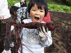 富士山を見に行って来ました?　まかいの牧場特別ツアー編