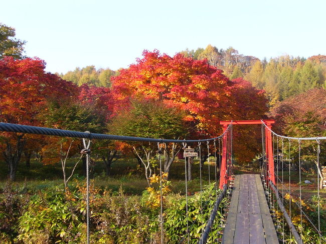 ピークの紅葉を眺めに、八雲の銀婚湯温泉に行ってきました