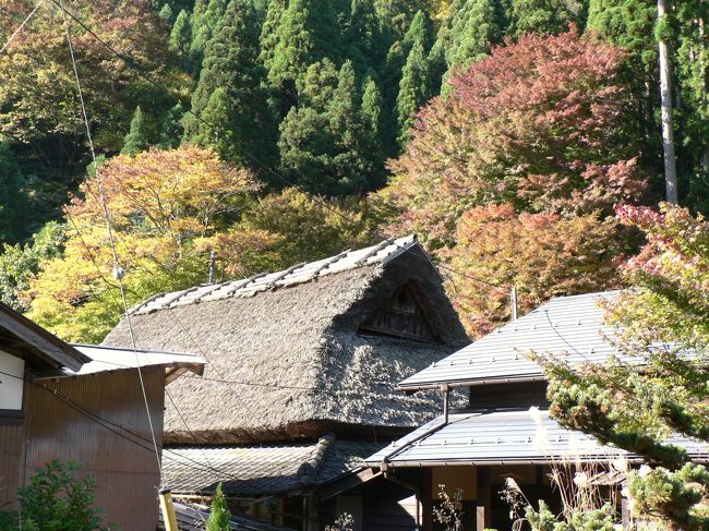 日本の原風景と言われる智頭町板井原集落へ行って来ました。<br />中国道佐用ＩＣから、かっての因幡街道を北上。<br />この因幡街道は鳥取（因幡）から姫路（播磨）を結び、古から経済、文化、政治に、ある時は軍事目的にも使用されたもので先ずは兵庫県佐用町の宿場町平福へ。<br />平福はかって因幡街道随一の宿場町として栄えた所で「利神城跡」や「宮本武蔵最初の決闘の地」などの旧跡も多く、佐用川沿いの土蔵群も有名です。<br />次に岡山県美作市の大原宿へ。鳥取藩３２万石池田候の参勤交代の宿となった本陣や脇本陣などが現存し、当時の面影を今なお残しています。また大原は宮本武蔵生誕の地としても知られています。<br />続いて鳥取県智頭町の智頭宿へ。鳥取県内最大の宿場町として栄え石谷家住宅など往時を偲ばせる古い町並みが残っています。<br />しばし散策の後、紅葉の名所としても知られる芦津渓の「みたき園」で昼食。<br />ひなびた茅葺屋根、水車、囲炉裏・・・さらさらと渓流の音を聞きながら頂く山菜料理は格別。<br />静寂の時をゆったり過ごした後はいよいよ板井原集落へ。<br />駐車場から村内の主要道路であった狭い六尺道を歩いて集落へ。<br />未だかって集落へ車が入った歴史がなく、昔ながらの地割りが残っていて、日本の山村集落の原風景と言われる。昭和３０年代にタイムスリップした気分。<br />集落内の喫茶「野土香」でコーヒータイム。<br />日本の歴史と文化に浸りながら、緩やかな一日を過ごすことができました。<br /><br />