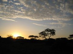 ケニア旅行記　２　マサイマラ国立保護区