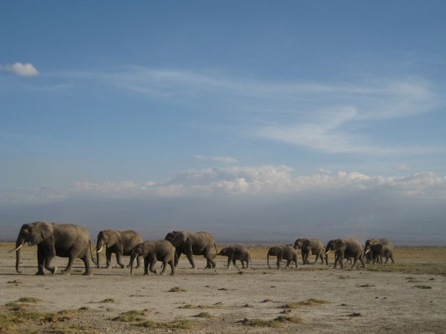  ケニアに行ってきました！<br /><br />気の合う友達と、やさしいガイドさんと、雄大な自然やたくさんの動物たちを見ることが出来て、大満足の旅となりました☆☆<br />