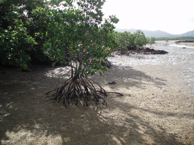 なかなかチャンスに恵まれなかった沖縄離島!<br />やっと行ってきました。<br />