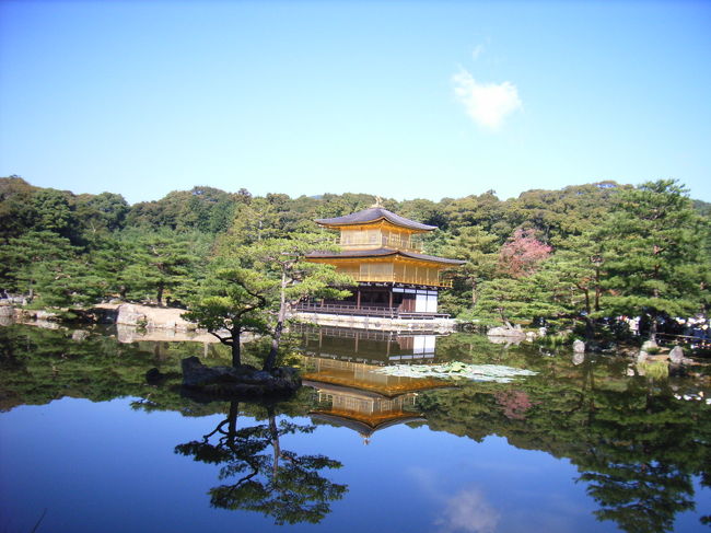結婚してから京都を訪れるのは３回目。<br />独身のときから数えたらもう何度目だろう･･･<br />そのほとんどが一人旅です。<br /><br />寺社仏閣に参拝することや京文化に触れることなど、<br />町自体が好きというのもありますが、<br />京都は町の大きさや交通網などを考えても<br />女性が一人旅しやすい場所だと思います。<br />実際、似たような人をよく見かけました。<br /><br />今回の最大の目的は、参拝予約をして臨んだ苔寺（西芳寺）。<br />表紙は高校の修学旅行以来、●年ぶりに訪れた金閣です。<br /><br />