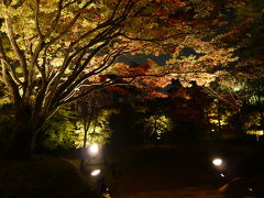 紅葉のライトアップ＆京都の夜景◆将軍塚大日堂庭園