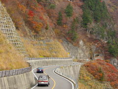 「白山スーパー林道の紅葉」