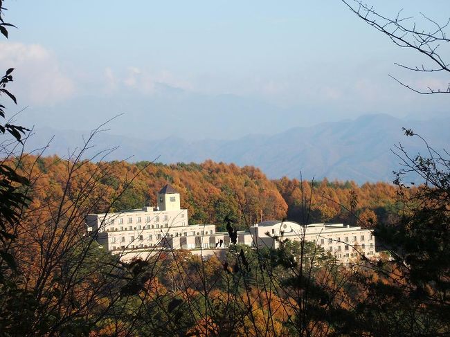 ダイヤモンド八ヶ岳は写真のように八ヶ岳山麓の深い森の中にある。周りはカラマツ林なので、紅葉の時期はひときわ美しい。私は2007年11月８日から１人で５連泊して、晩秋の八ヶ岳山麓を満喫した。一部の客室にランケーブルによるインターネット接続ができるようになったので、今回はパソコン持参である。<br /><br />私の公式ページ『第二の人生を豊かに―ライター舟橋栄二のホームページ―』に旅行記多数あり。<br /><br />http://www.e-funahashi.jp/<br /><br />