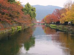 岡崎疎水端を散歩　