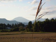 　岩崎観音と廃寺