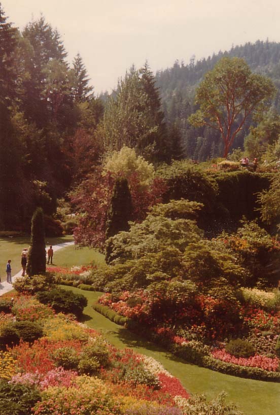 1975年にVictoria に行ったときの写真をアップします。最近の旅行記を見ても、The Buchart Gardens は相変わらずきれいなようです。また行きたいですね。