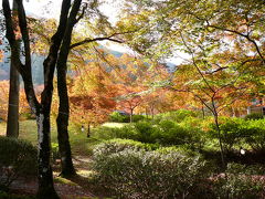 紅葉に燃える丹波の古刹を散策：高源寺