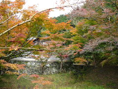 紅葉で燃える丹波の古刹を散策：円通寺