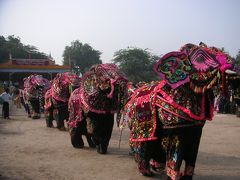 チャウセの像の踊りお祭りに一度参加して見ては！