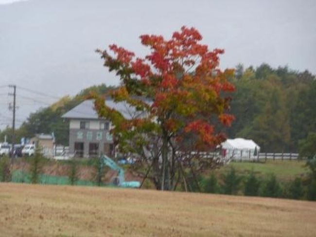 朝からどんより小雨がぱらついていたけど<br /><br />出発前にオークションで入場券1枚500円で落としていたし<br />天気予報は雲のち晴れだったのであがるだろうと思って<br />サンメンバーズひるがのから車で10分の所にある<br />ひるがの高原牧歌の里へ<br /><br /><br /><br />この予報は大はずれ<br />入り口のお土産屋サンで30分ぐらい遊んで外に出ると<br />ひどなってるやん（泣）<br />チビ達も寒いって事でお土産屋サンでトレーナーを買おう<br />としたら牧歌の里のキャラクタートレーナーが3675円・・・<br />ディズニーランドで買ったミニーのトレーナーより高いて・・・<br />雨も降ってるし風を通さないカッパ735円也で<br />手を打っちゃいました。<br /><br />岐阜県奥美濃にある花と緑と牧場のテーマパーク　ひるがの高原「牧歌の里」の名前の通り<br />当然屋外なので園内に入って所にいてた屋根付きの<br />ロードトレイン「ドット君」に乗り込み園内を1周。<br /><br />あまりの寒さと雨で途方に暮れてるとトット君のスタッフの方が<br />「体験工房があるからそこで遊んできたら？」と<br />お勧めしてくれたのでそのまま体験工房へ<br /><br />パン・ピザ・リース・石鹸・万華鏡・キャンドル・その他<br />1個1000円ぐらいで結構作るものがあり、<br />お昼ご飯前だったのでピザを自力で子供に作ってもらって<br />食べに行き食後もまた体験工房に戻りキャンドルを作ったりと<br />結局11時から3時まで体験工房で<br />子供も大人も楽しくて雨が降っていても思いのほか遊べました。<br /><br /><br /><br />