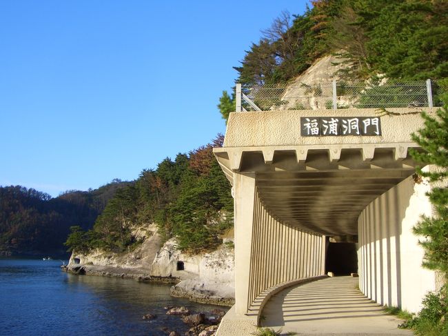 ふと見かけて気になった島後の「乳房杉~大満寺山~トカゲ岩コース」を歩きたくて隠岐の旅を計画!<br />しかし残念ながら8月の集中豪雨で、行きたいと思っていた乳房杉・大満寺山・トカゲ岩、そして壇鏡の滝方面は通行止めで行けませんでした。<br />でも、他の場所も素敵でかなり好きな雰囲気の島でした。<br />闘牛の徳之島に続き、牛突きの隠岐☆徳之島の闘牛ほど、デカッ!とは思いませんでした。(と言っても遠めでチラッとみただけなので)牛の散歩の時は、車の運転を気をつけなければならないそうです。<br />島後の方々も親切で、ホント楽しい旅でした♪