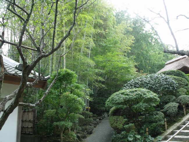 今日もいい天気！　昼下がりに鎌倉を散策してみることにした。未だ行っていない鎌倉、衣張山を歩くことにした。<br /><br />散歩の途中、報国寺の竹林を楽しむ。<br /><br />2014年１０月４日、再び旧華頂宮邸の公開日に再訪門