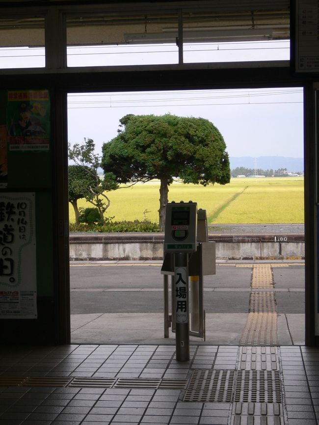 ９月に親と東北へ行ってきました！<br />まず一日目に宮城へ向かい、仙台駅で牛タンを食べ、満足♪<br />当日麻生さんや福田総理も仙台に来ていたらしく、駅は賑やかでした。<br />食後、松山駅へ向かい、一ノ蔵という酒蔵へ行って工場見学をしてきました。<br />･･･が、仕込みの時期ではなかったのでイマイチ。<br />残念です。。<br />それから、志津川駅へ向かい、南三陸ホテル観洋というところに泊まりました。<br />想像より大きなホテルで部屋は海に面していて大満足。<br />ベランダの手すりにカモメが止まるので、見つめ合っちゃいました。<br />パンを投げると怖くなるくらいカモメが集まってきてダイビングキャッチします。